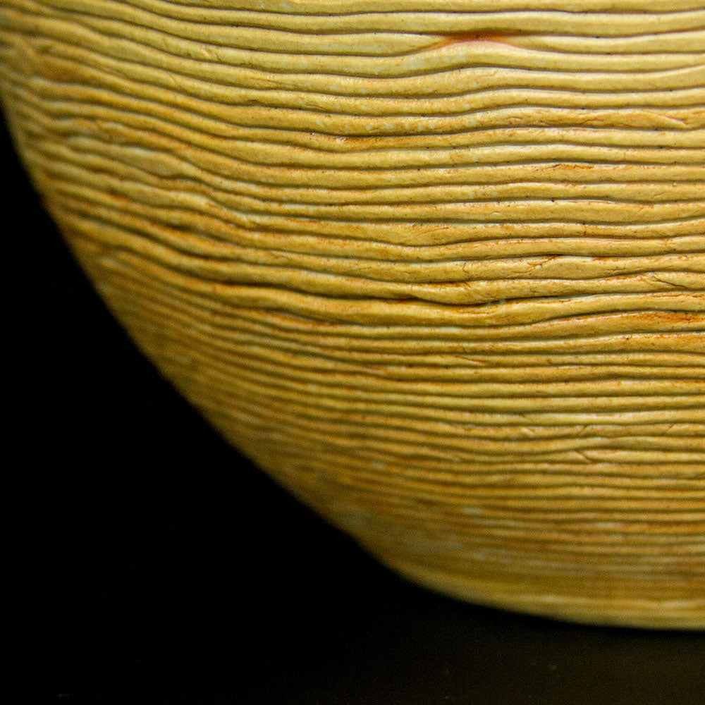 Müslischale Zebra Medium